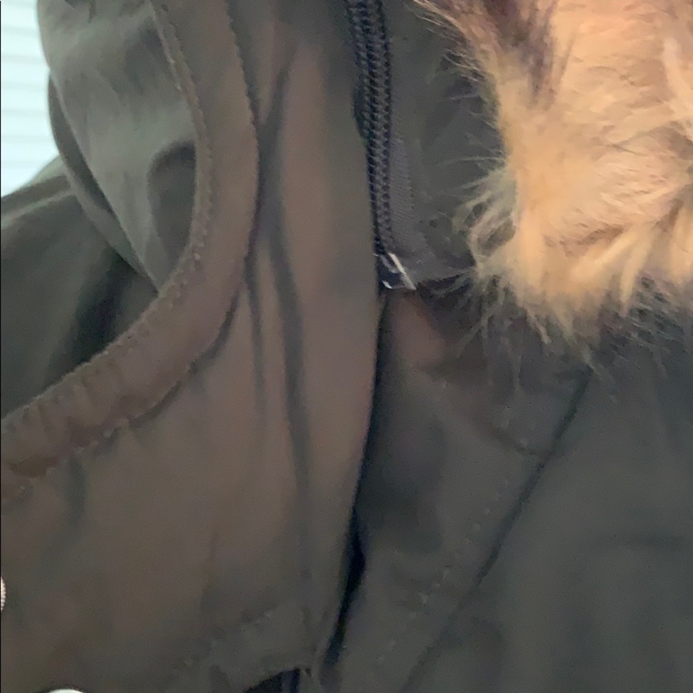 Jacket - Picture 10 of 12
